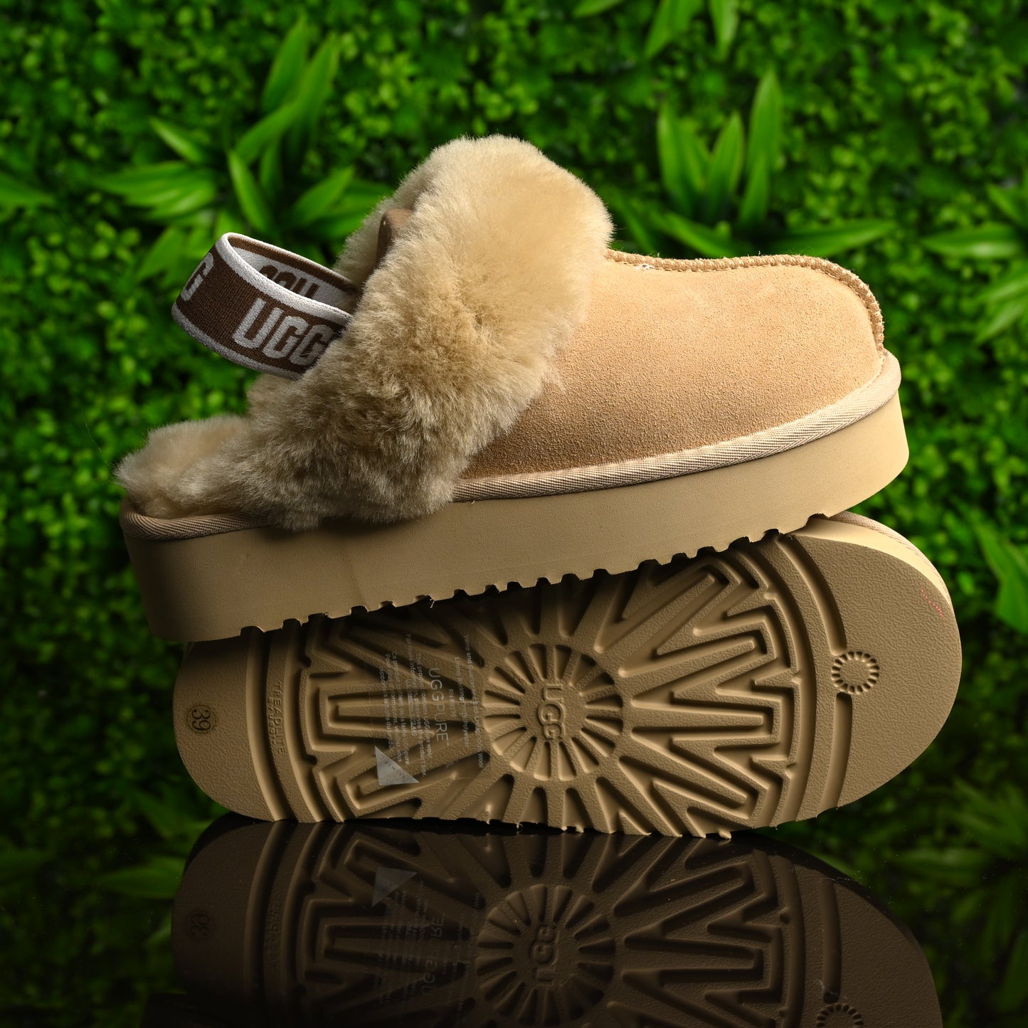 UGG Slipper