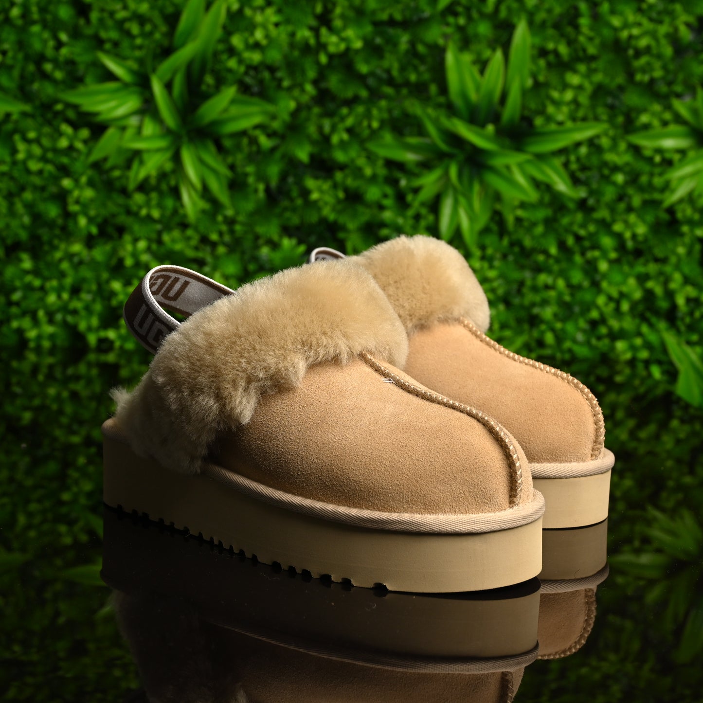 UGG Slipper